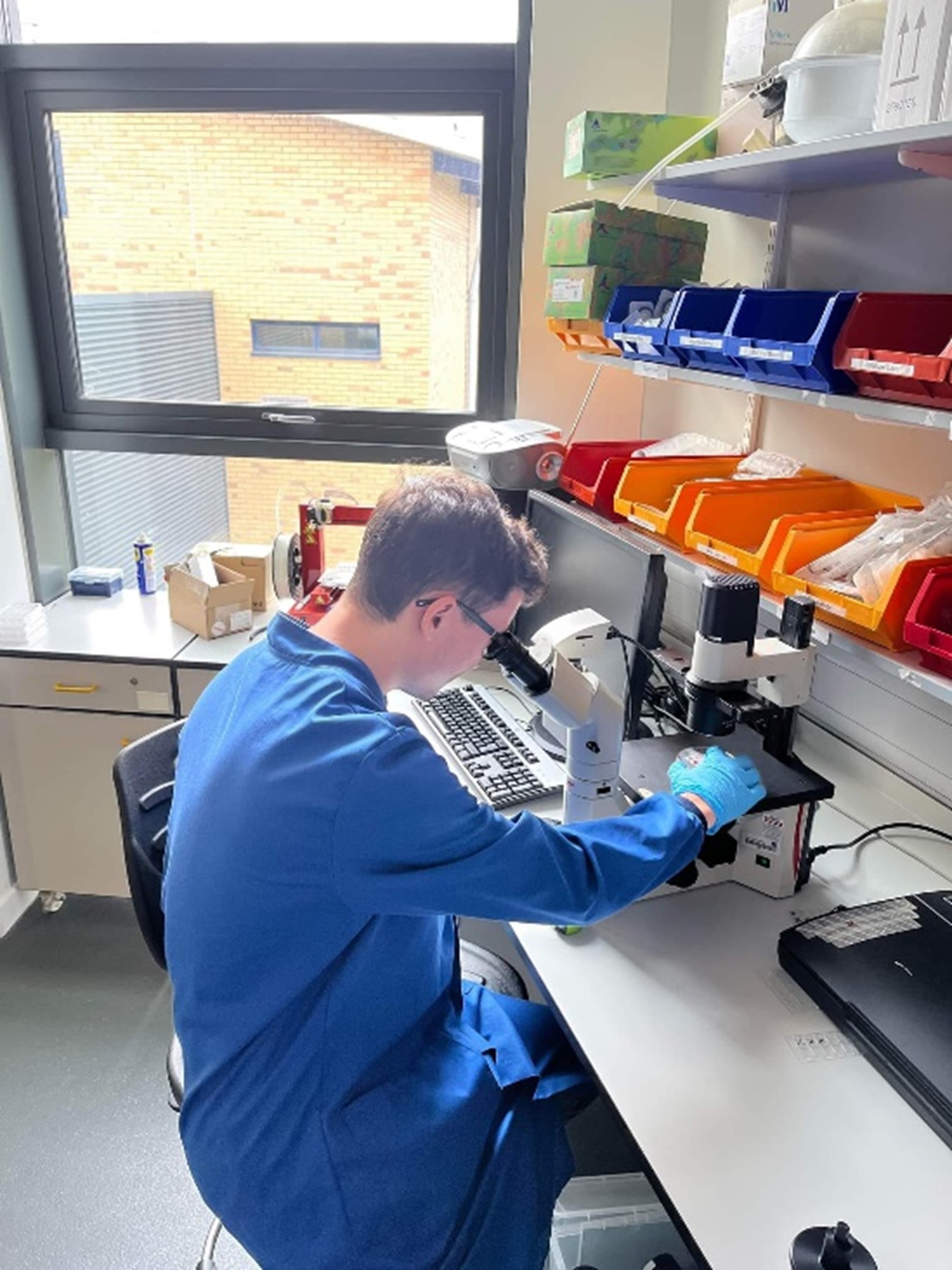 An image of male student Jonathan Mok looking into a microscope